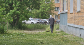 Метеорологи рассказали, почему летом в Кировской области наступит похолодание